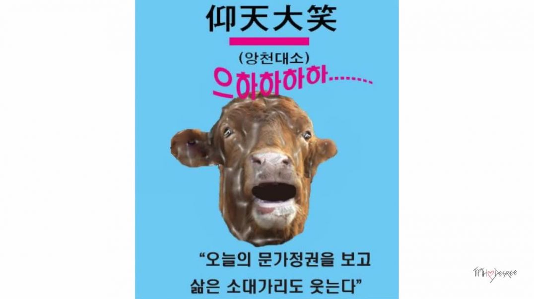 South Korea Moon Jae In Cow Head's China Dream!