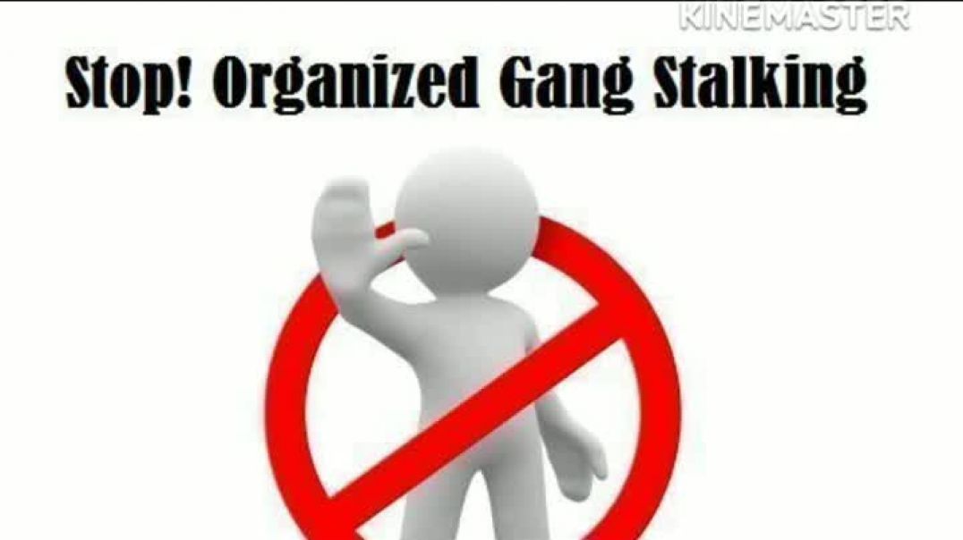 Gangstalking Targeted Individual Harassment: Realistic Solutions to Counter It
